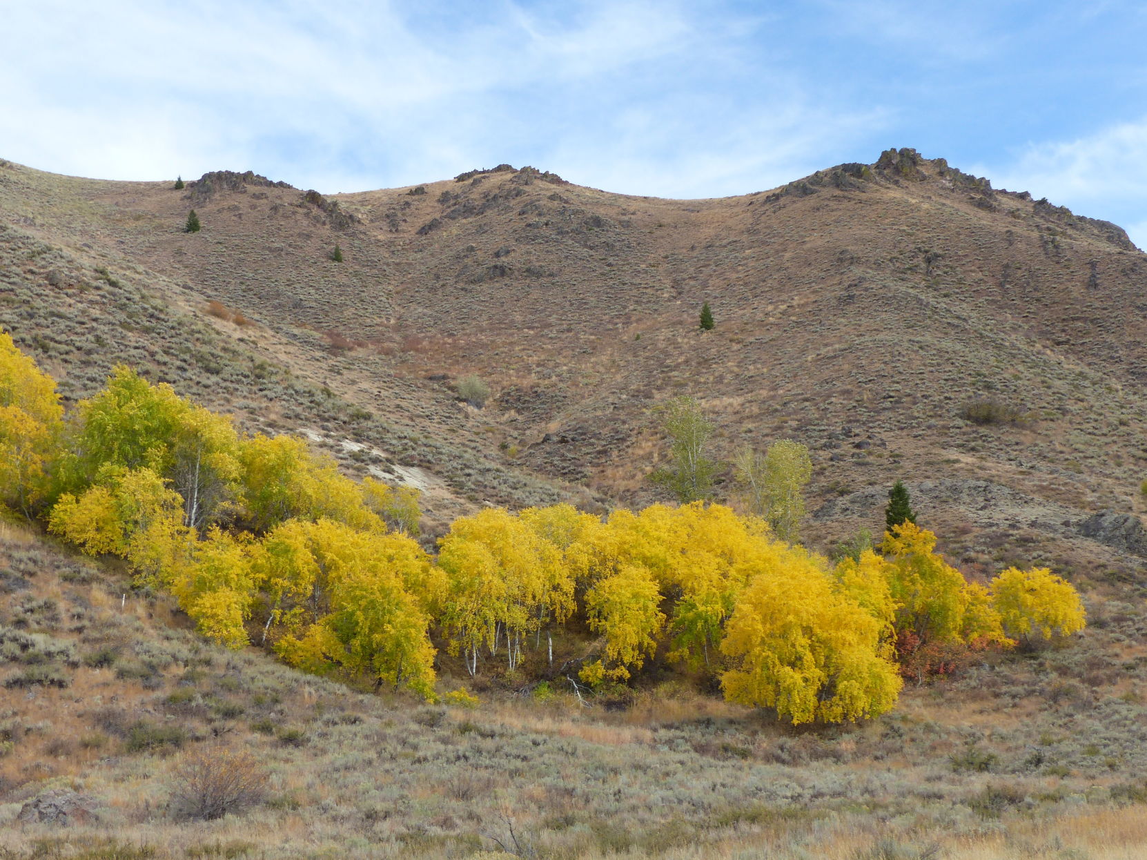 On the way to Apollo Creek